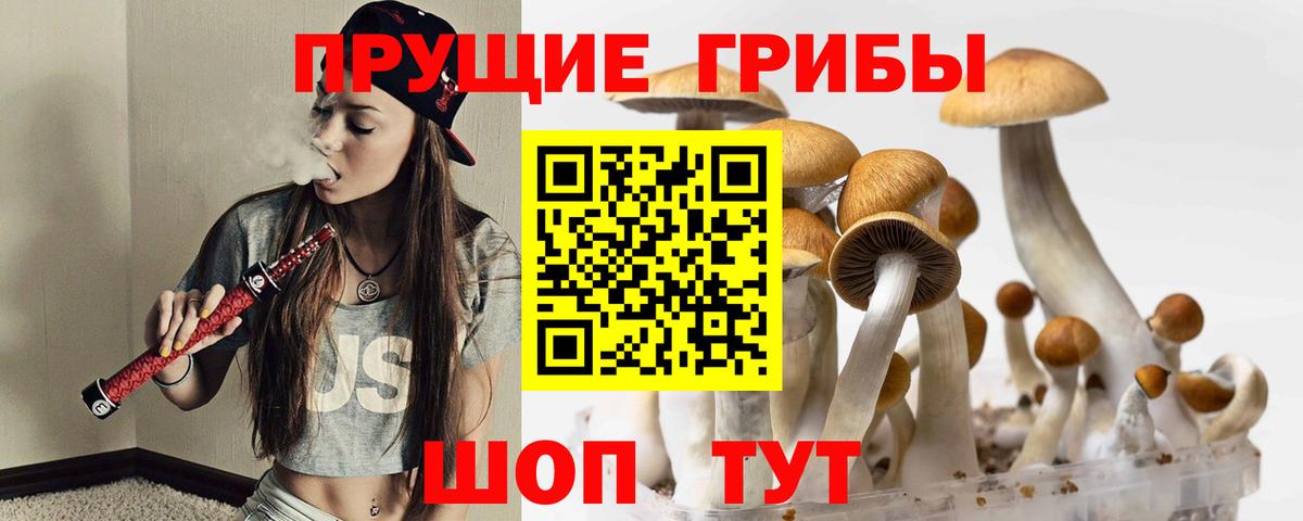 Галлюциногенные грибы Psilocybe  Вход с VPN  Наро-Фоминск 